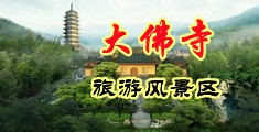 国产美女露阴道被操中国浙江-新昌大佛寺旅游风景区